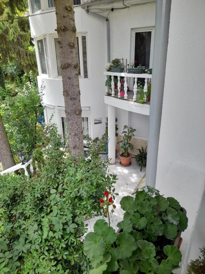 Feher Hinto Miškovec Exteriér fotografie
