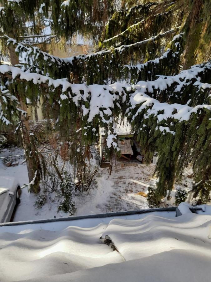 Feher Hinto Miškovec Exteriér fotografie