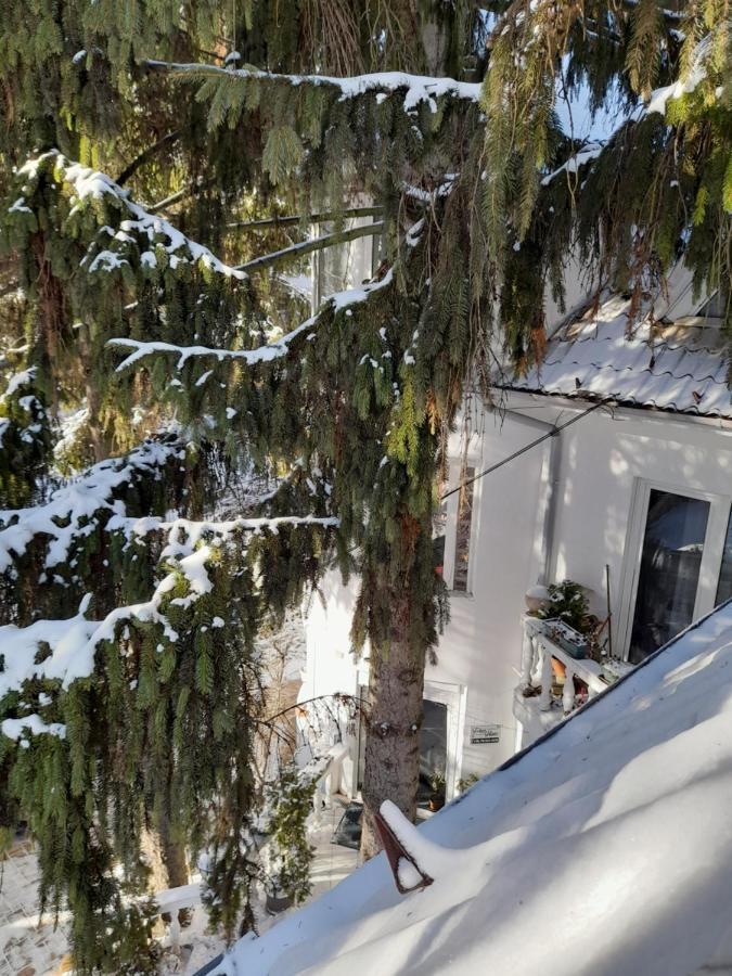 Feher Hinto Miškovec Exteriér fotografie