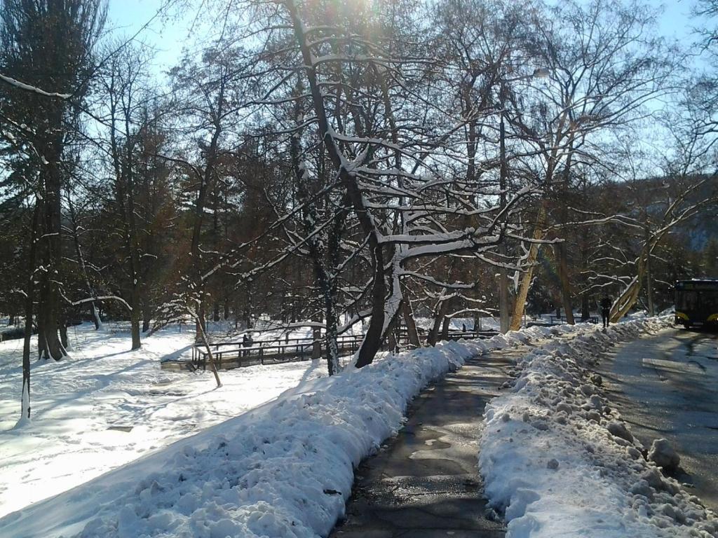 Feher Hinto Miškovec Pokoj fotografie