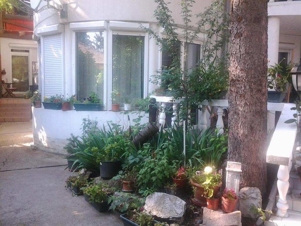 Feher Hinto Miškovec Exteriér fotografie